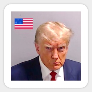 Trump official mugshot Sticker